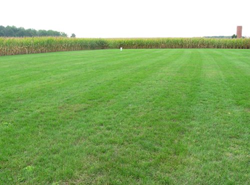 Property photo 2 - Real Estate Auction - 31+/- Acres Offered in 3 Tracts Including a 3-Bedroom Home